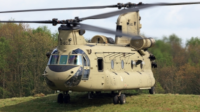 Photo ID 282896 by Carl Brent. Netherlands Air Force Boeing Vertol CH 47F Chinook, D 602