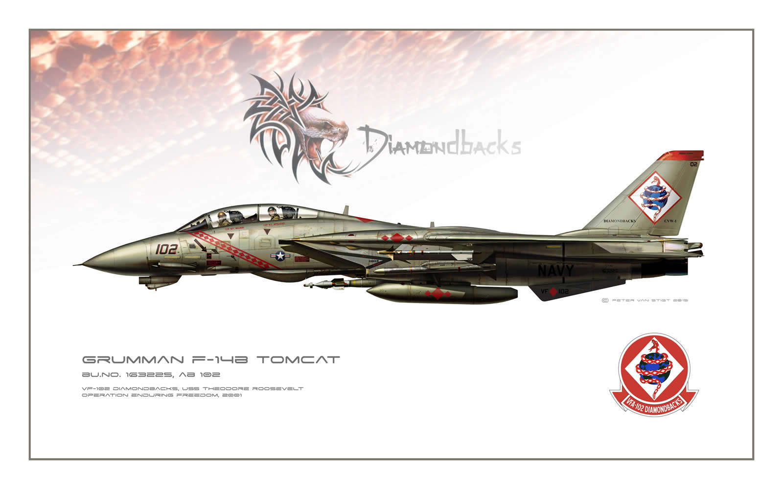 VF-102 Diamondbacks F-14 Tomcat Profile