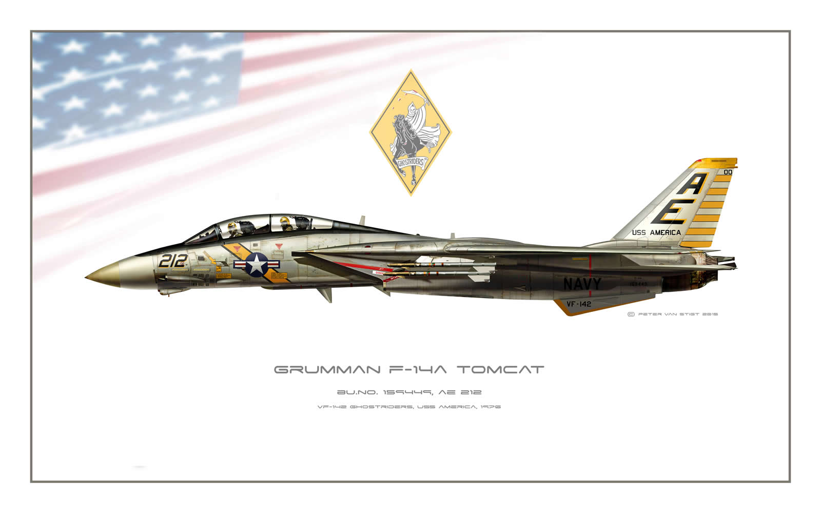 VF-142 Ghost Riders F-14 Tomcat Profile