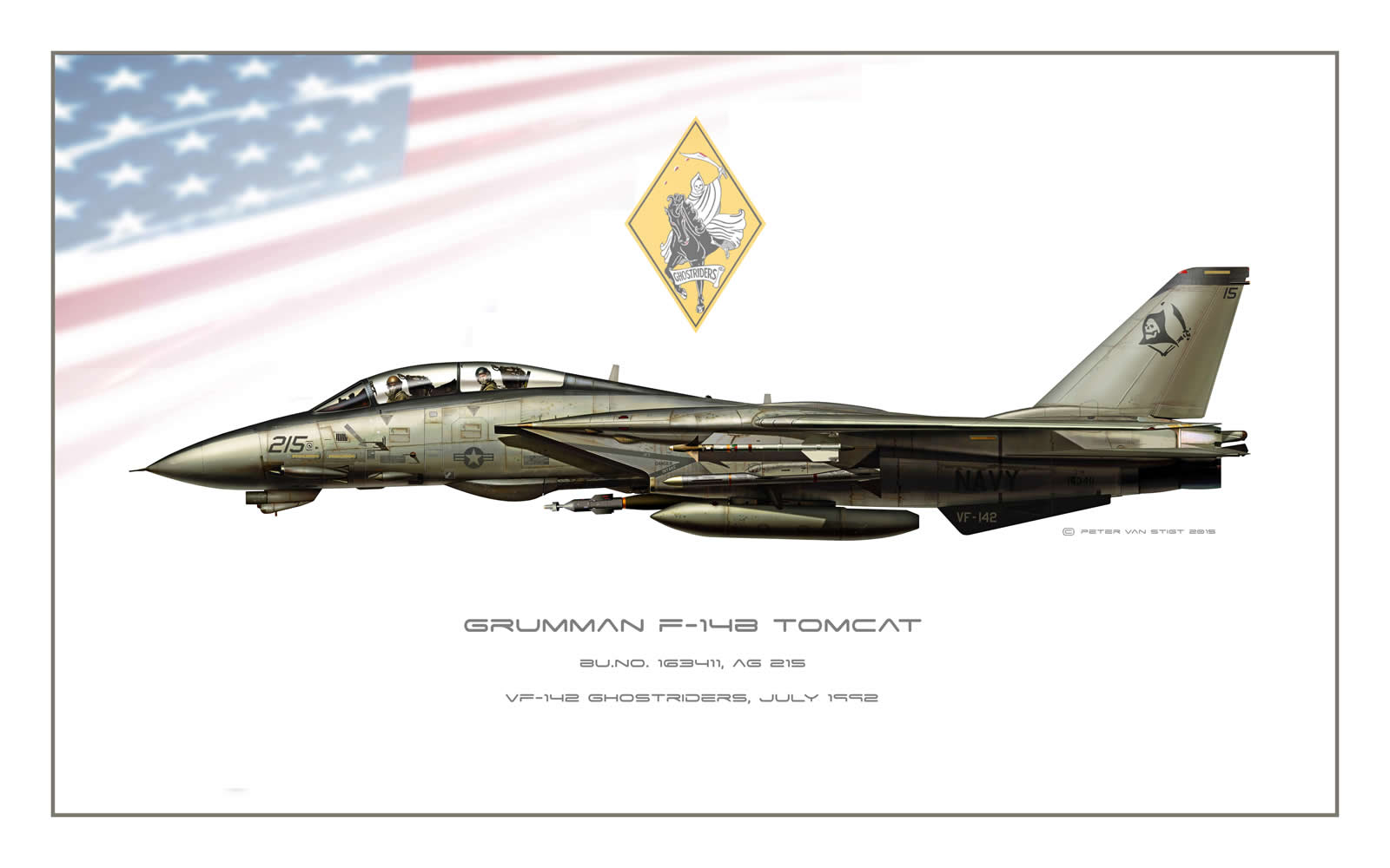 VF-142 Ghost Riders Low Viz F-14 Tomcat Profile