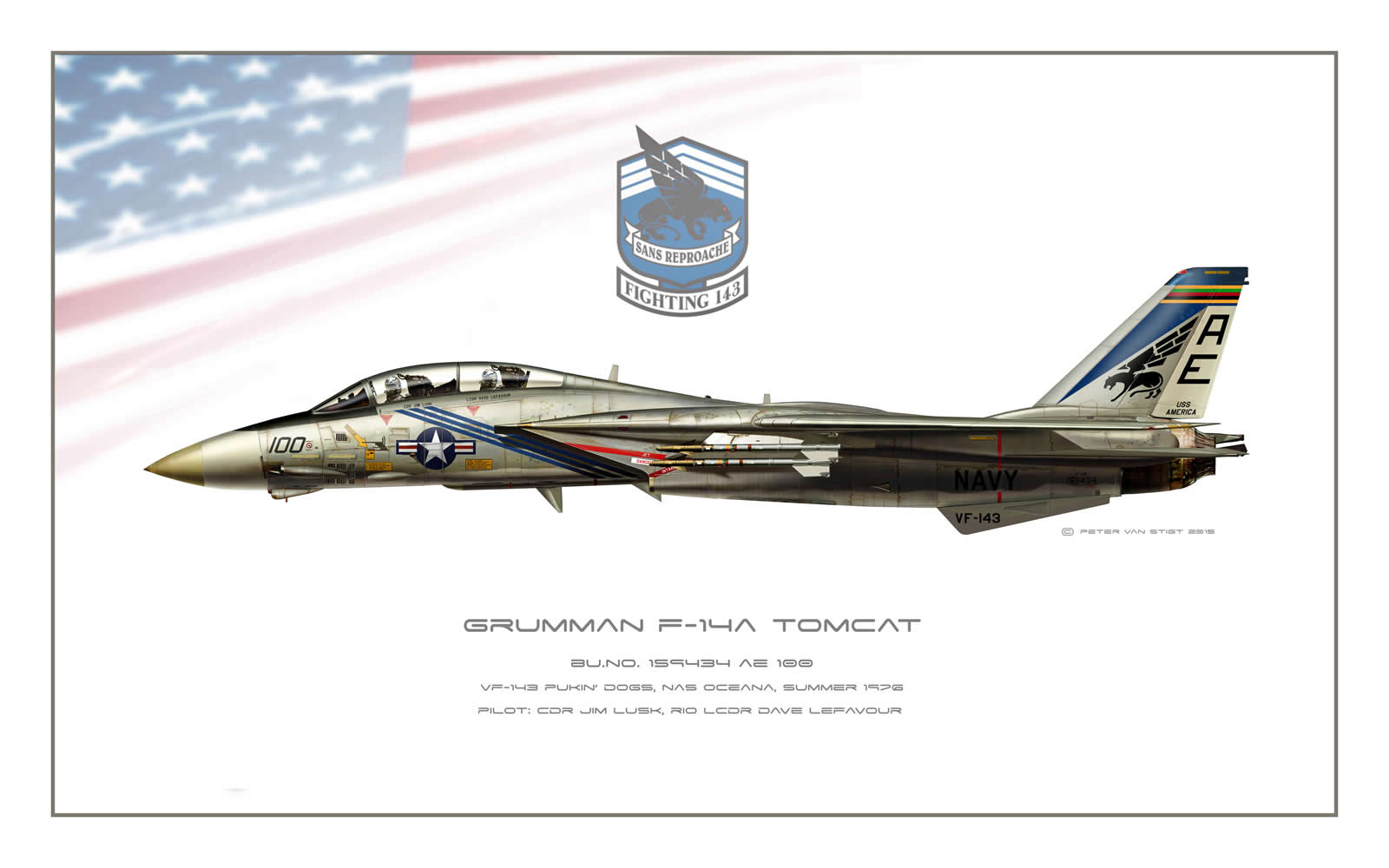 VF-143 Pukin Dogs F-14 Tomcat Profile