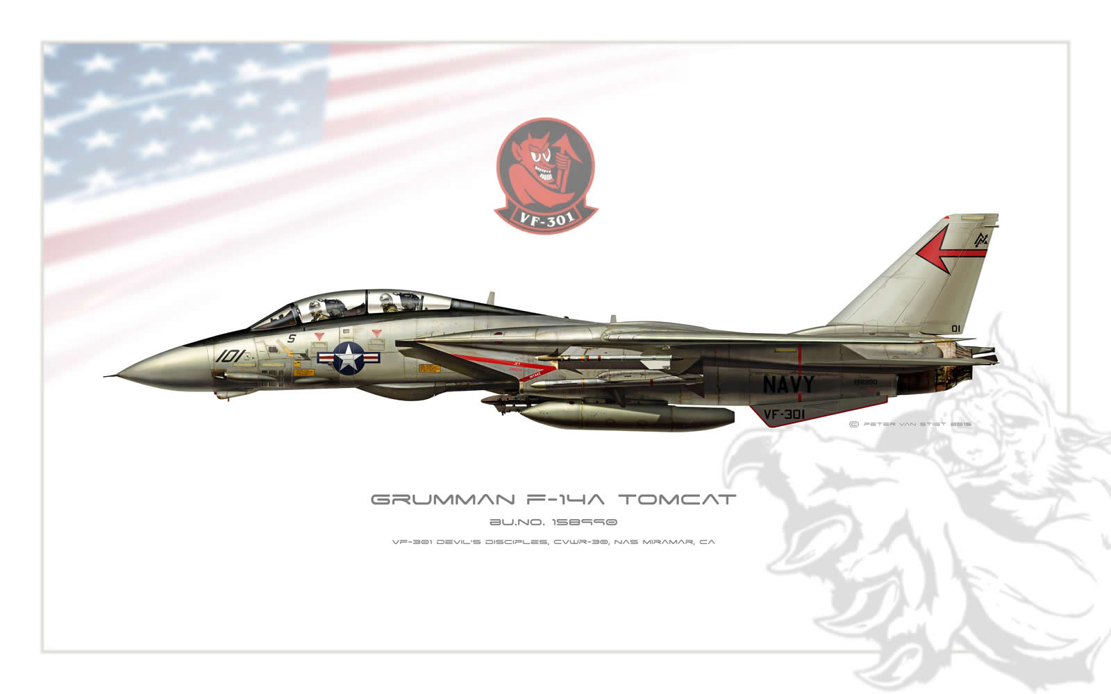 VF-301 Devil's Disciples F-14 Tomcat Profile