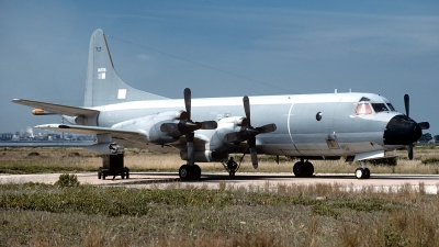 Photo ID 83607 by Carl Brent. Portugal Air Force Lockheed P 3P Orion, 14806