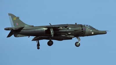 Photo ID 85300 by Klemens Hoevel. UK Air Force Hawker Siddeley Harrier GR 3, XV809