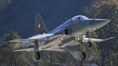 Photo ID 86137 by Dennis Wüstefeld. Switzerland Air Force Northrop F 5E Tiger II, J 3065