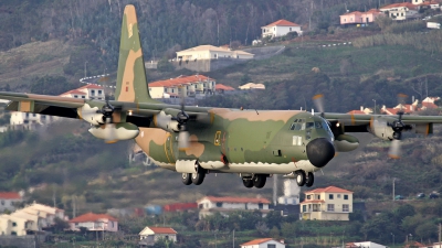Photo ID 90704 by Rui Sousa. Portugal Air Force Lockheed C 130H Hercules L 382, 16802