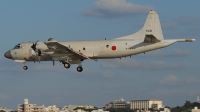 Photo ID 91213 by Florian Morasch. Japan Navy Lockheed P 3C Orion, 5021