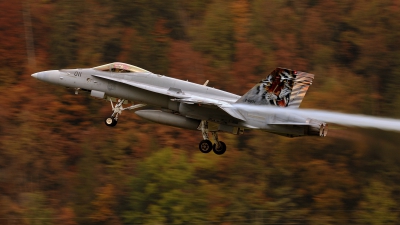 Photo ID 94975 by FEUILLIN Alexis. Switzerland Air Force McDonnell Douglas F A 18C Hornet, J 5011