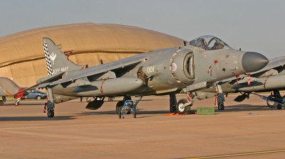 Photo ID 14046 by Maarten Peters. UK Navy British Aerospace Sea Harrier FA 2, ZH796