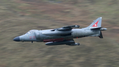 Photo ID 14392 by Scott Rathbone. UK Navy British Aerospace Sea Harrier FA 2, ZD613