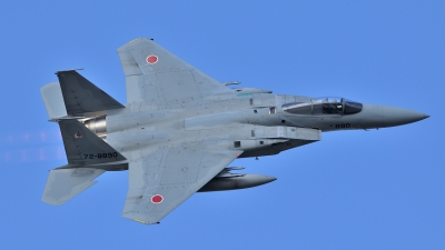 Photo ID 115144 by Peter Terlouw. Japan Air Force McDonnell Douglas F 15J Eagle, 72 8890
