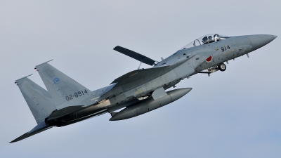 Photo ID 115175 by Peter Terlouw. Japan Air Force McDonnell Douglas F 15J Eagle, 02 8914