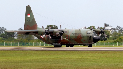 Photo ID 116557 by Carl Brent. Indonesia Air Force Lockheed C 130B Hercules L 282, A 1308