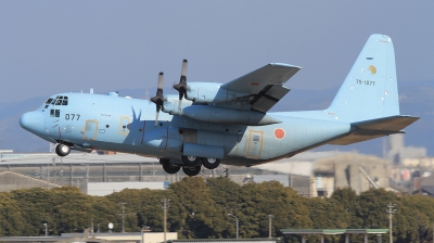 Photo ID 121147 by Lars Kitschke. Japan Air Force Lockheed C 130H Hercules L 382, 75 1077