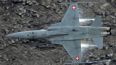 Photo ID 130329 by Martin Thoeni - Powerplanes. Switzerland Air Force Northrop F 5E Tiger II, J 3098