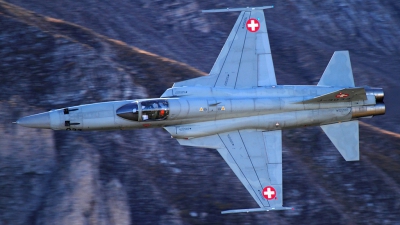 Photo ID 130659 by Agata Maria Weksej. Switzerland Air Force Northrop F 5E Tiger II, J 3033