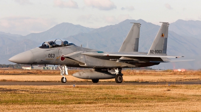 Photo ID 131775 by Andreas Zeitler - Flying-Wings. Japan Air Force McDonnell Douglas F 15DJ Eagle, 82 8063