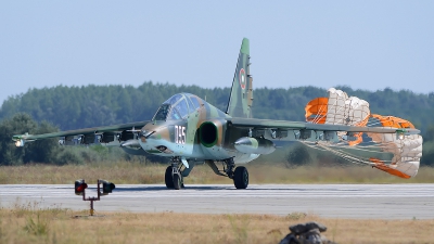 Photo ID 133314 by Stephan Franke - Fighter-Wings. Bulgaria Air Force Sukhoi Su 25UBK, 095