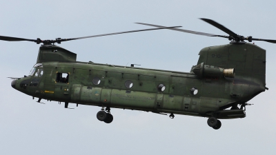Photo ID 135046 by Maurice Kockro. Netherlands Air Force Boeing Vertol CH 47D Chinook, D 101