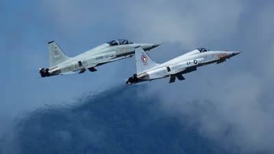 Photo ID 163421 by Diamond MD Dai. Taiwan Air Force Northrop F 5E Tiger II, 5288