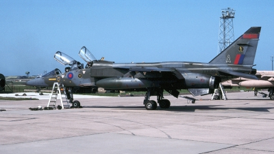 Photo ID 164951 by Tom Gibbons. UK Air Force Sepecat Jaguar T2, XX846