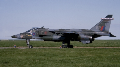 Photo ID 20521 by Tom Gibbons. UK Air Force Sepecat Jaguar GR1B, XX733