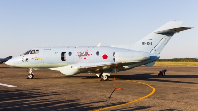Photo ID 168312 by Andreas Zeitler - Flying-Wings. Japan Air Force Hawker Siddeley U 125A HS 125 800, 12 3018