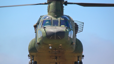Photo ID 169485 by Filipe Barros. Netherlands Air Force Boeing Vertol CH 47D Chinook, D 664