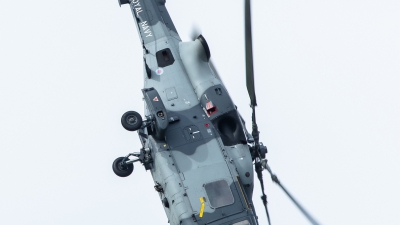 Photo ID 181152 by Luca Bani. UK Navy AgustaWestland Wildcat HMA2, ZZ519