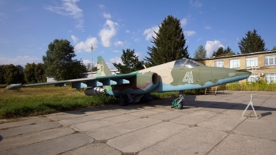 Photo ID 183443 by Lukas Kinneswenger. Ukraine Air Force Sukhoi Su 25,  