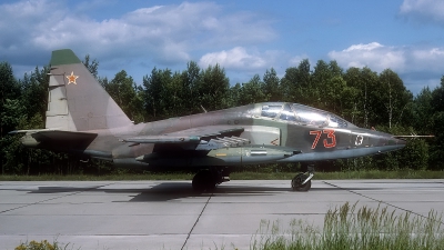 Photo ID 185651 by Rainer Mueller. Russia Air Force Sukhoi Su 25UB,  