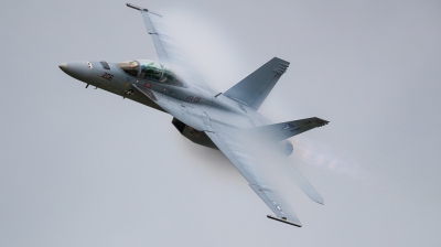 Photo ID 186323 by Andreas Zeitler - Flying-Wings. USA Navy Boeing F A 18F Super Hornet, 165887