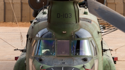 Photo ID 186342 by Jan Eenling. Netherlands Air Force Boeing Vertol CH 47D Chinook, D 103