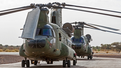 Photo ID 186343 by Jan Eenling. Netherlands Air Force Boeing Vertol CH 47D Chinook, D 662