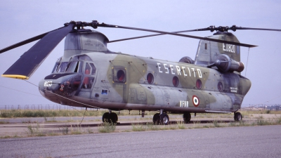 Photo ID 22446 by Erik Bruijns. Italy Army Boeing Vertol CH 47C Chinook, MM80842
