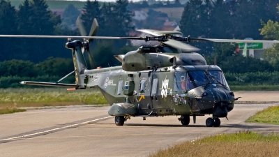 Photo ID 188442 by Jan Eenling. Germany Army NHI NH 90TTH, 98 90
