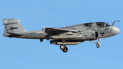 Photo ID 204116 by Thomas Ziegler - Aviation-Media. USA Marines Grumman EA 6B Prowler G 128, 163047