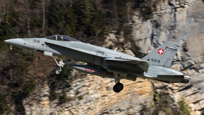 Photo ID 204609 by Thomas Ziegler - Aviation-Media. Switzerland Air Force McDonnell Douglas F A 18C Hornet, J 5019