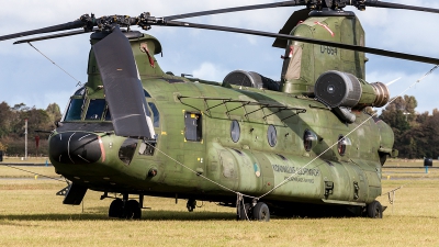 Photo ID 204797 by Jan Eenling. Netherlands Air Force Boeing Vertol CH 47D Chinook, D 664