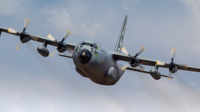 Photo ID 212453 by Filipe Barros. Portugal Air Force Lockheed C 130H 30 Hercules L 382, 16806