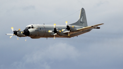Photo ID 221048 by F. Javier Sánchez Gómez. Spain Air Force Lockheed P 3A Orion, P 3A 01