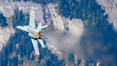 Photo ID 222755 by Agata Maria Weksej. Switzerland Air Force McDonnell Douglas F A 18C Hornet, J 5007