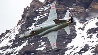 Photo ID 222941 by Agata Maria Weksej. Switzerland Air Force Northrop F 5E Tiger II, J 3097
