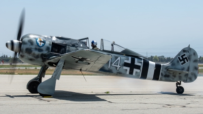 Photo ID 225979 by W.A.Kazior. Private Planes of Fame Air Museum Focke Wulf Fw 190A 9, N190RF
