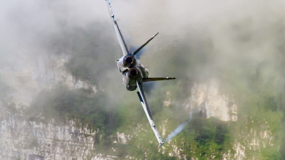 Photo ID 259612 by Agata Maria Weksej. Switzerland Air Force McDonnell Douglas F A 18C Hornet, J 5011