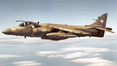 Photo ID 235155 by Aldo Bidini. UK Navy British Aerospace Sea Harrier FA 2, ZD613