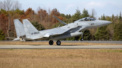 Photo ID 235707 by Roel Kusters. Japan Air Force McDonnell Douglas F 15J Eagle, 12 8803