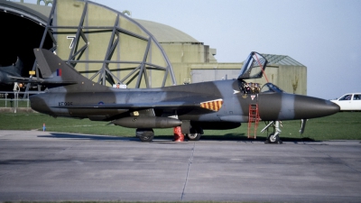 Photo ID 26829 by Tom Gibbons. UK Air Force Hawker Hunter T8B, XF995