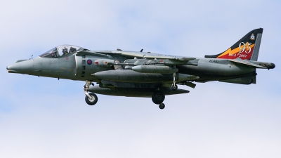 Photo ID 239860 by Ruben Galindo. UK Air Force British Aerospace Harrier GR 5, ZD410