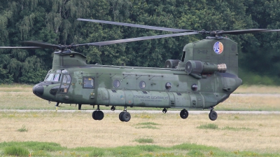Photo ID 243119 by kristof stuer. Netherlands Air Force Boeing Vertol CH 47D Chinook, D 102